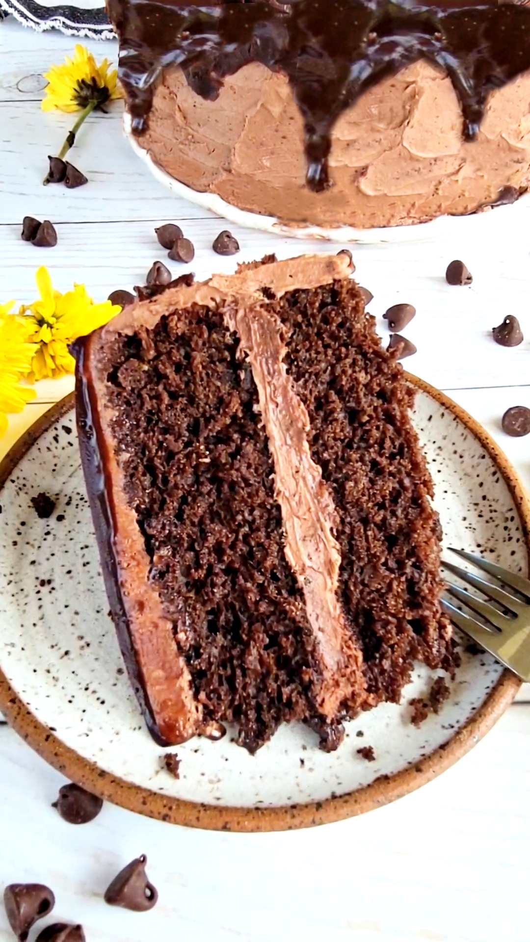 One Bowl Fudgy Chocolate Cake